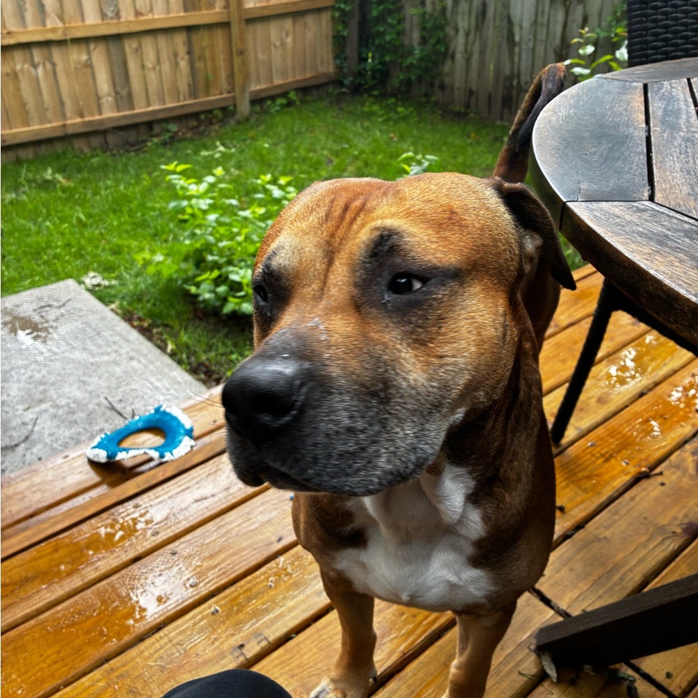 Meet your Posher, Anna